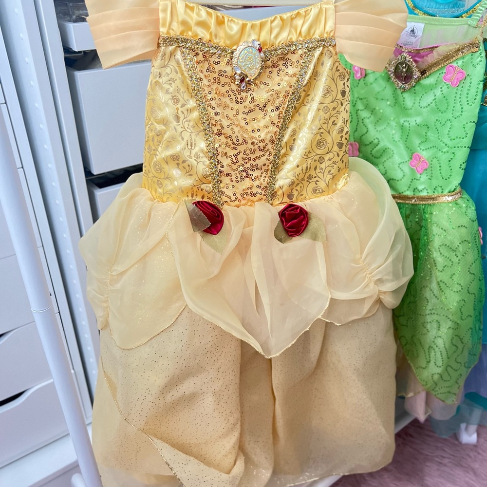 Disney Gold and Red Theater Princess Costume